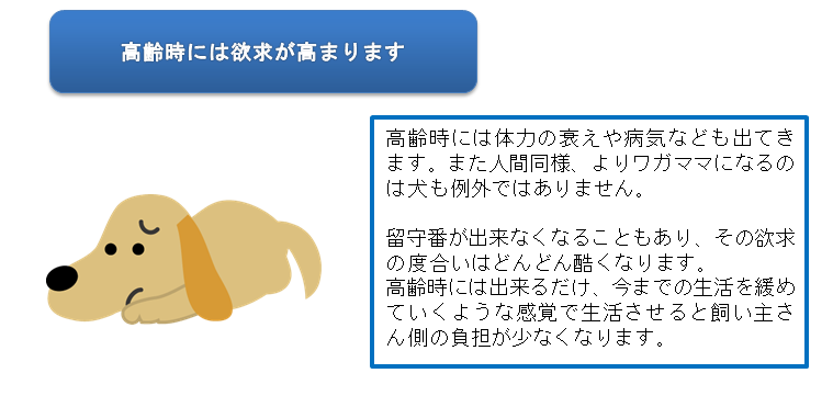 犬の都合に合わせる はストレスが溜まる 犬のとこやさん